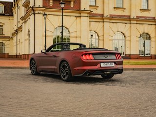 Прокат Ford Mustang cabrio 2018 — аренда авто в Калининграде — фото 5