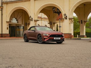 Прокат Ford Mustang cabrio 2018 — аренда авто в Калининграде — фото 9