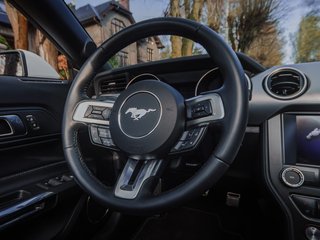 Прокат Ford Mustang cabrio 2021 — аренда авто в Калининграде — фото 11