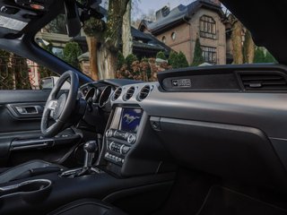 Прокат Ford Mustang cabrio 2021 — аренда авто в Калининграде — фото 12